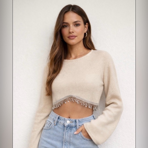 Zara Sweaters - Zara Rhinestone Fringe Cropped Sweater